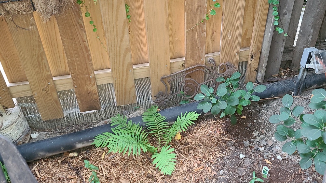 Photo of Outdoor in Lakeview