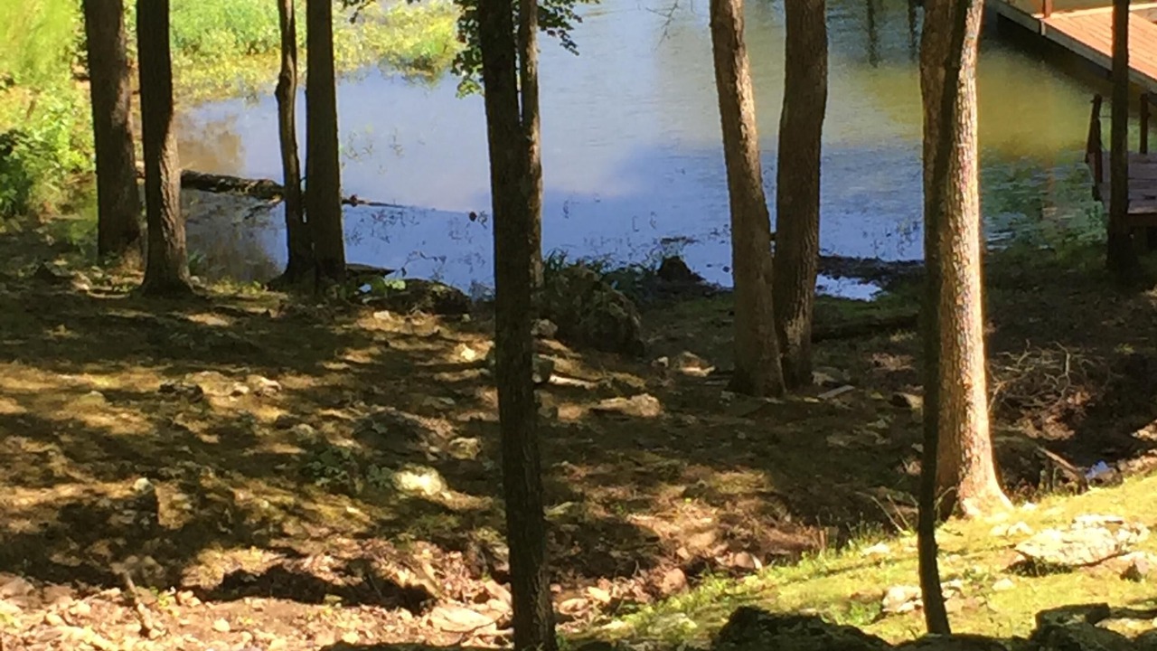 Photo of Outdoor in Goreville