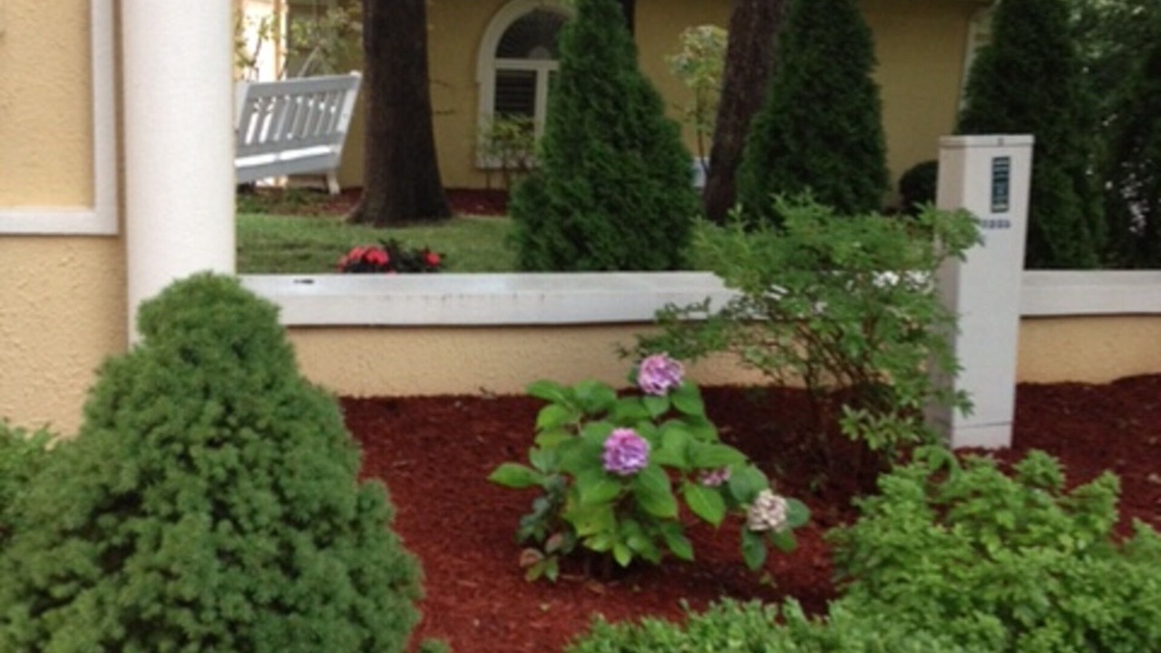 Photo of Outdoor in Wolf Creek