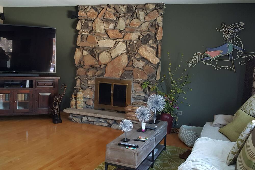 Photo of Livingroom in Homer Glen
