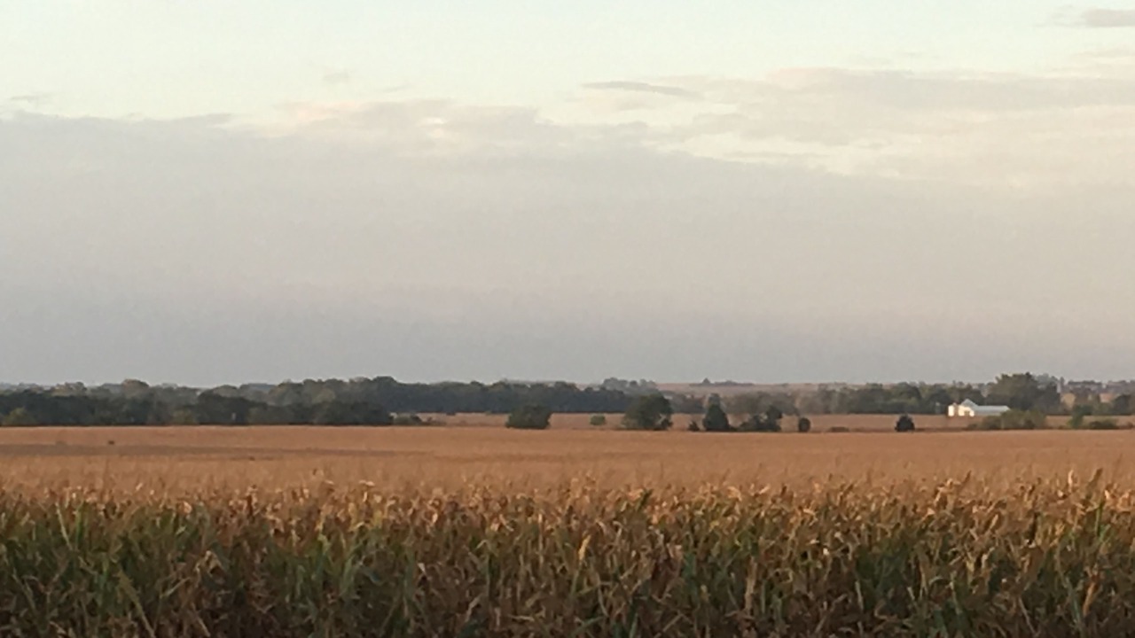 Photo of Others in Paxton