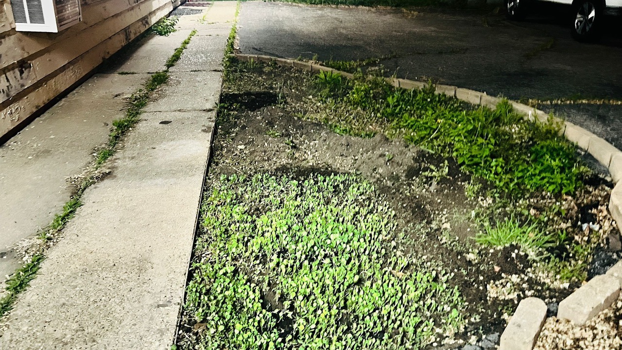 Photo of Outdoor in Havana