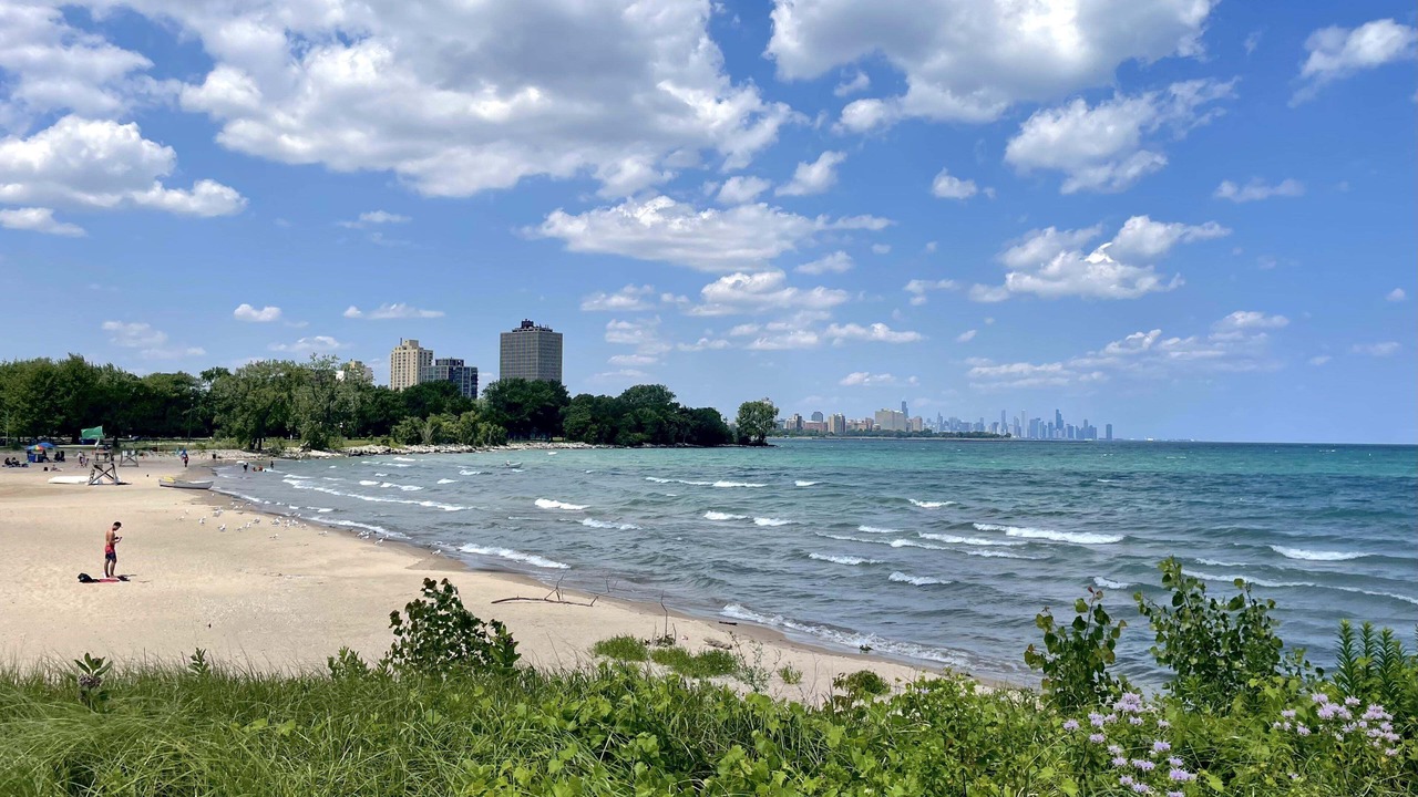 Photo of Others in South Shore