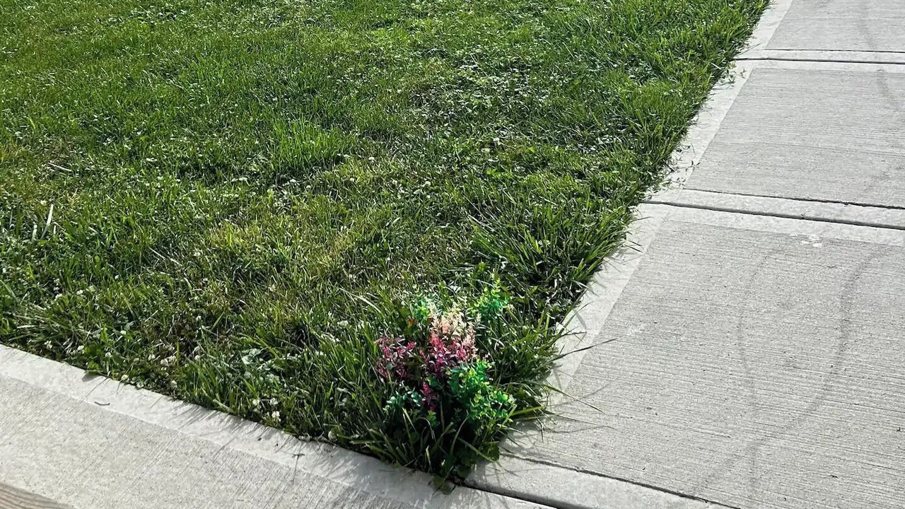Photo of Outdoor in Washington Heights