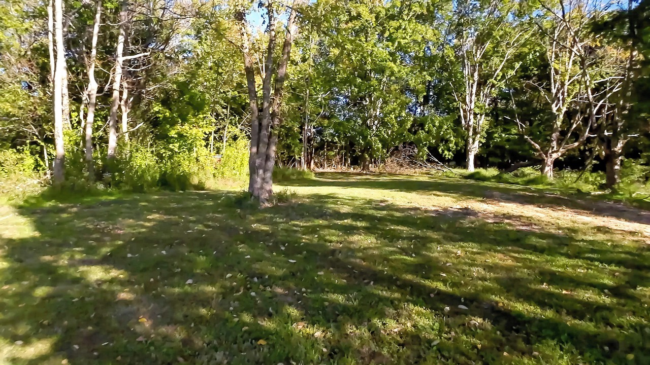Photo of Others in Ozark