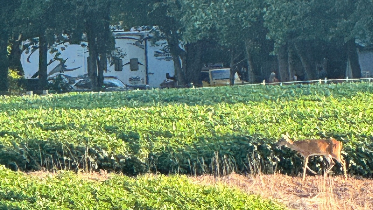 Photo of Outdoor in Johnston City