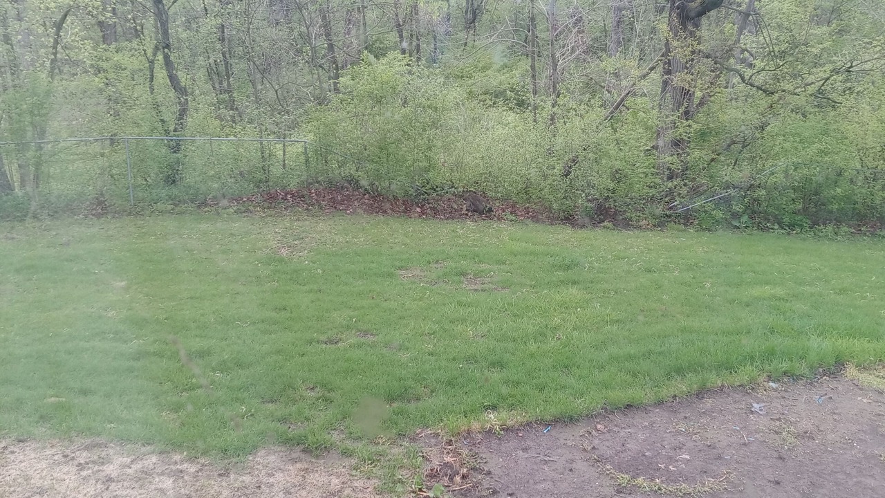 Photo of Outdoor in Cropsey