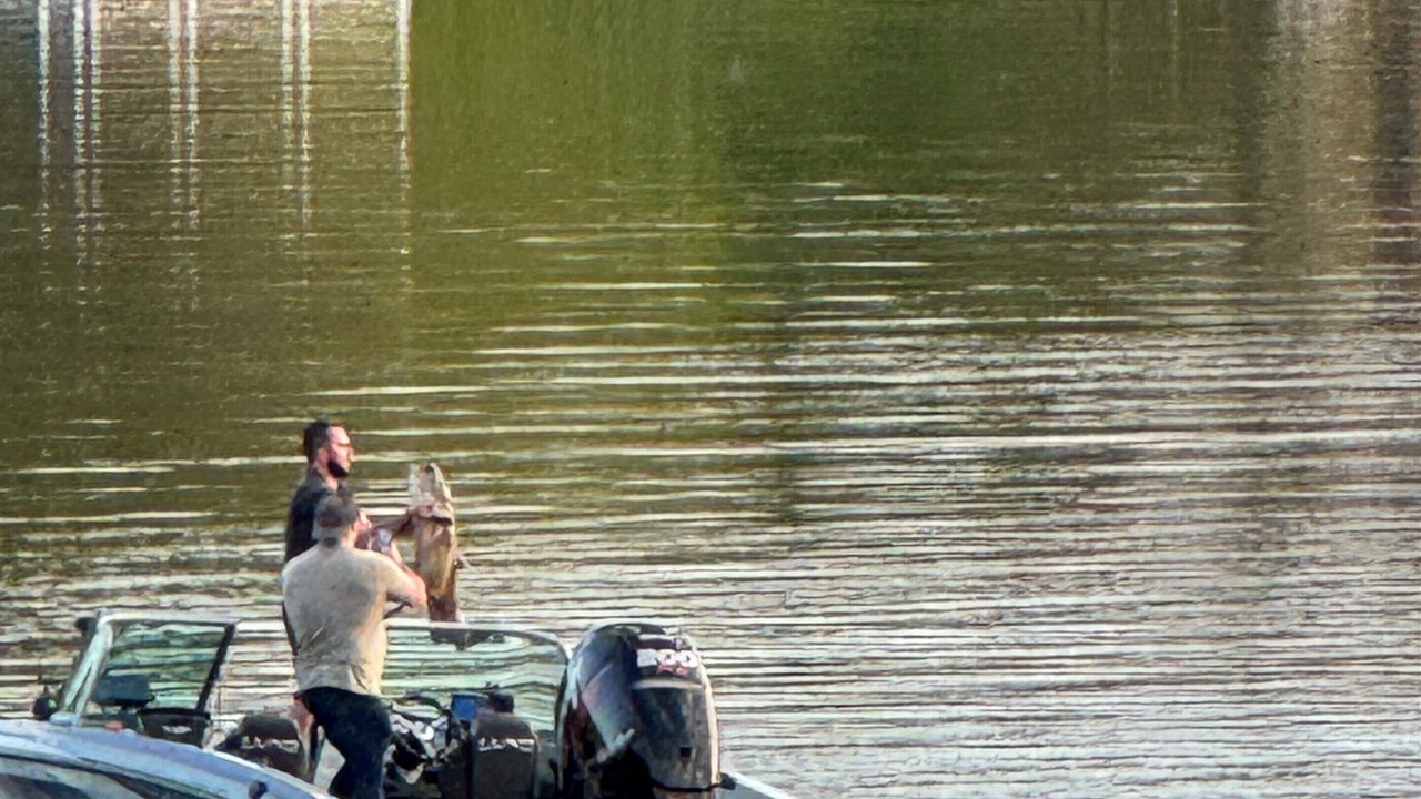Photo of Others in Fox Lake