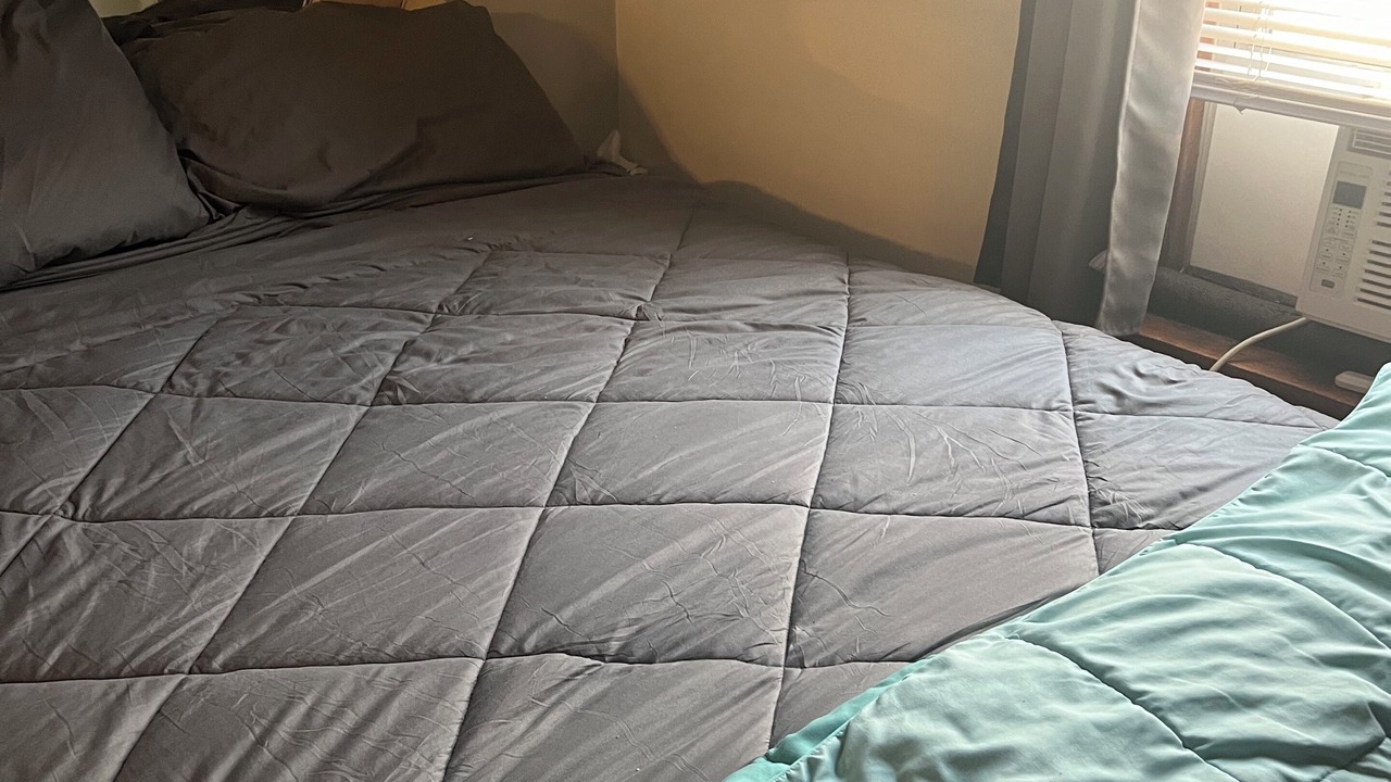 Photo of Bedroom in Chicago Lawn