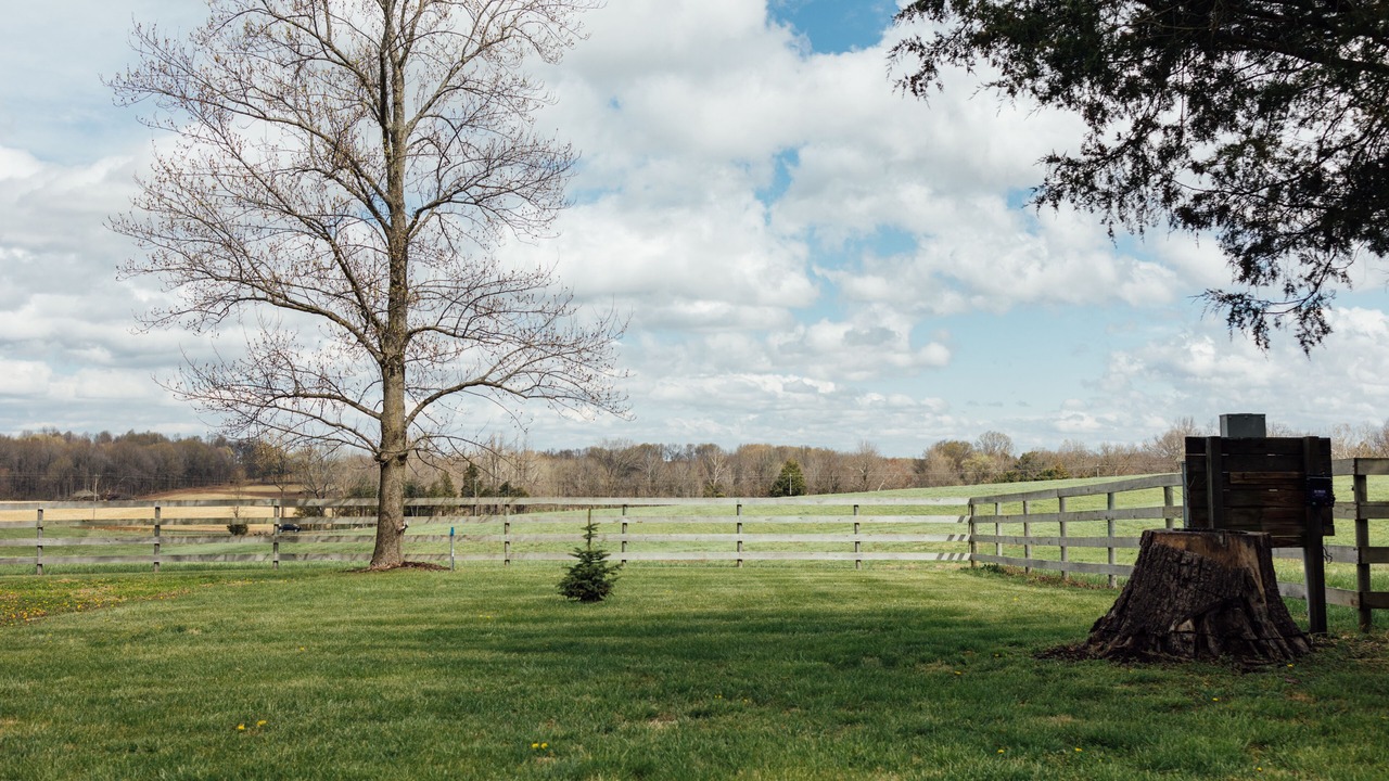 Photo of Outdoor in Saline County