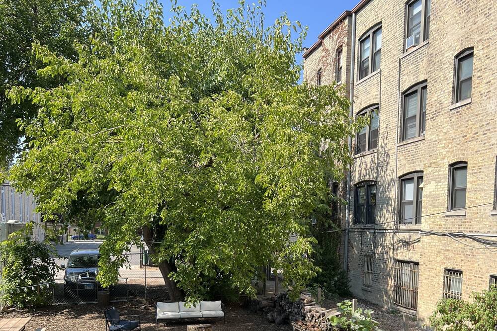 Photo of Outdoor in Irving Park