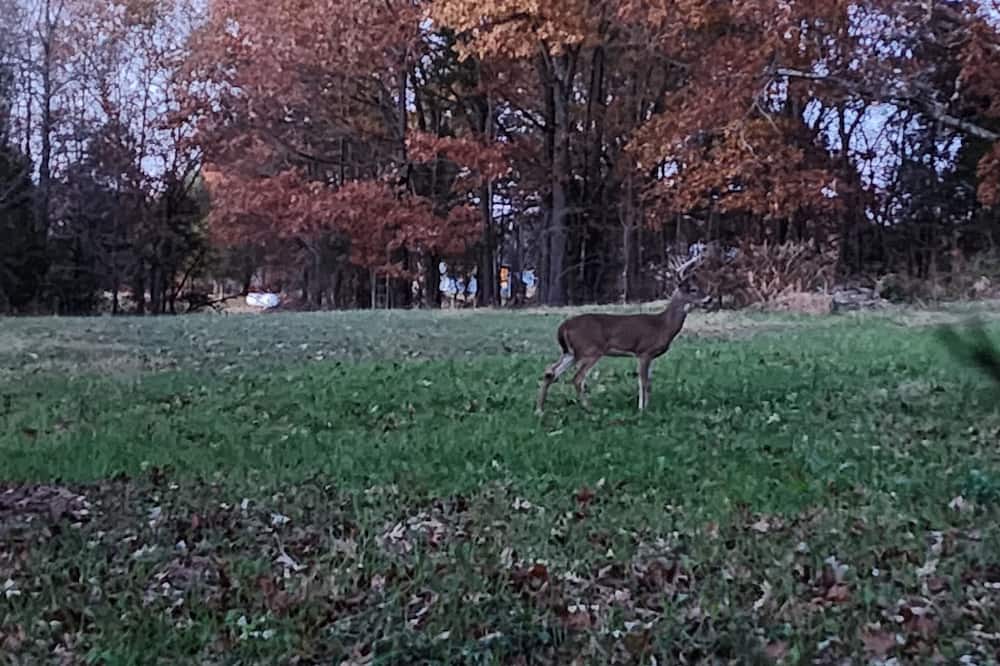Photo of Outdoor in Perks