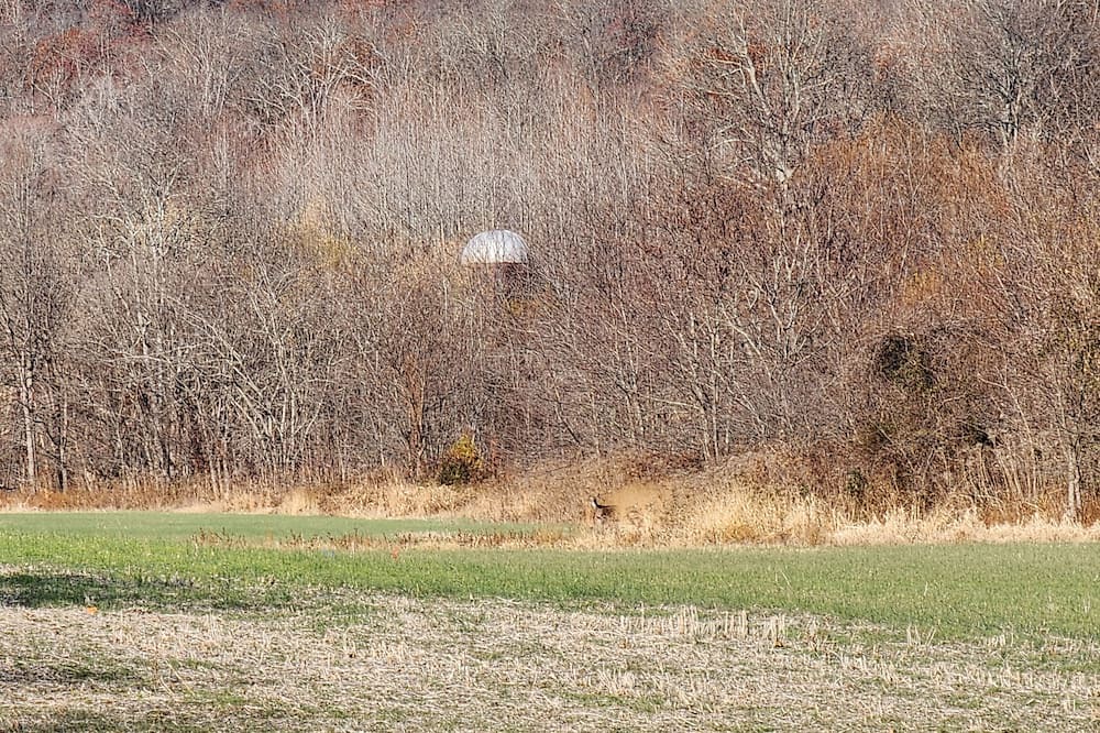 Photo of Others in Perks