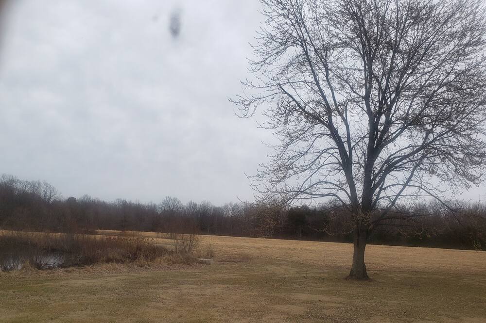 Photo of Others in Ozark