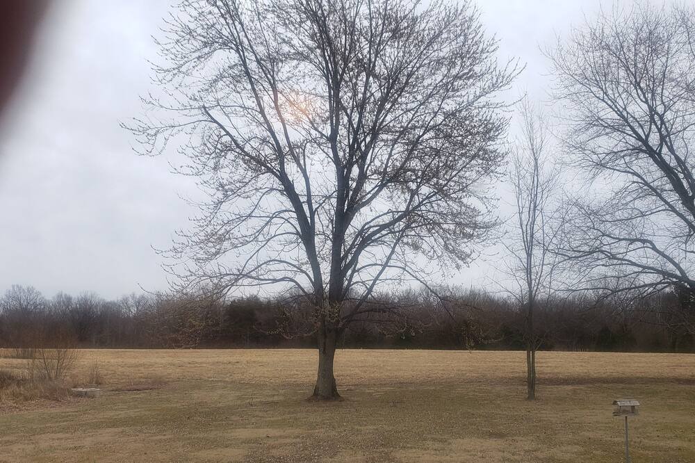 Photo of Others in Ozark
