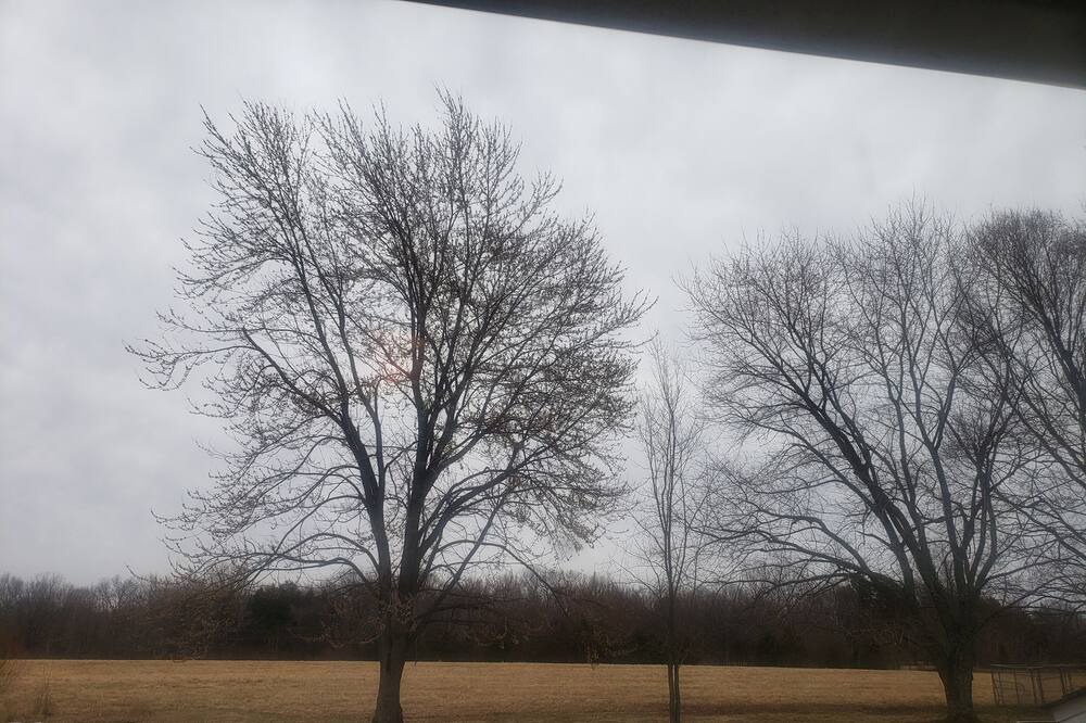 Photo of Others in Ozark