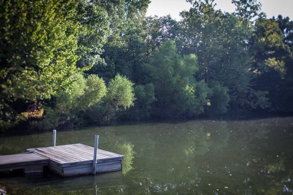 Photo of Others in Carbondale