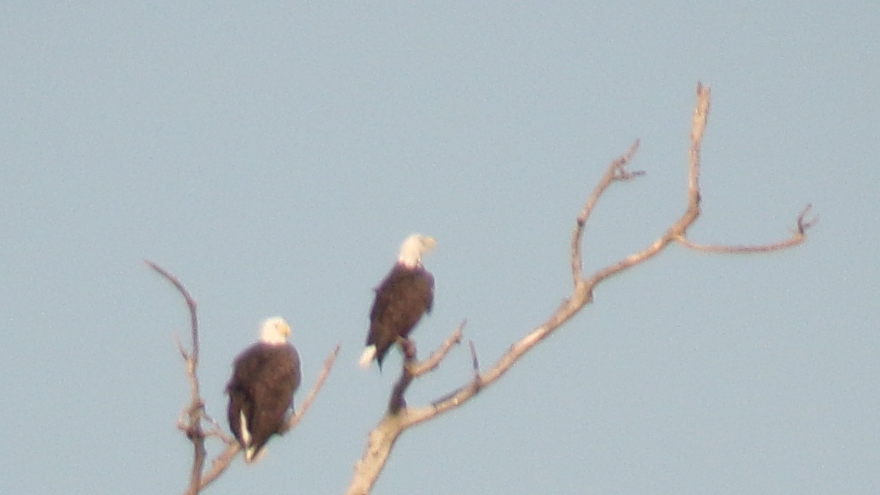Photo of Outdoor in Patterson