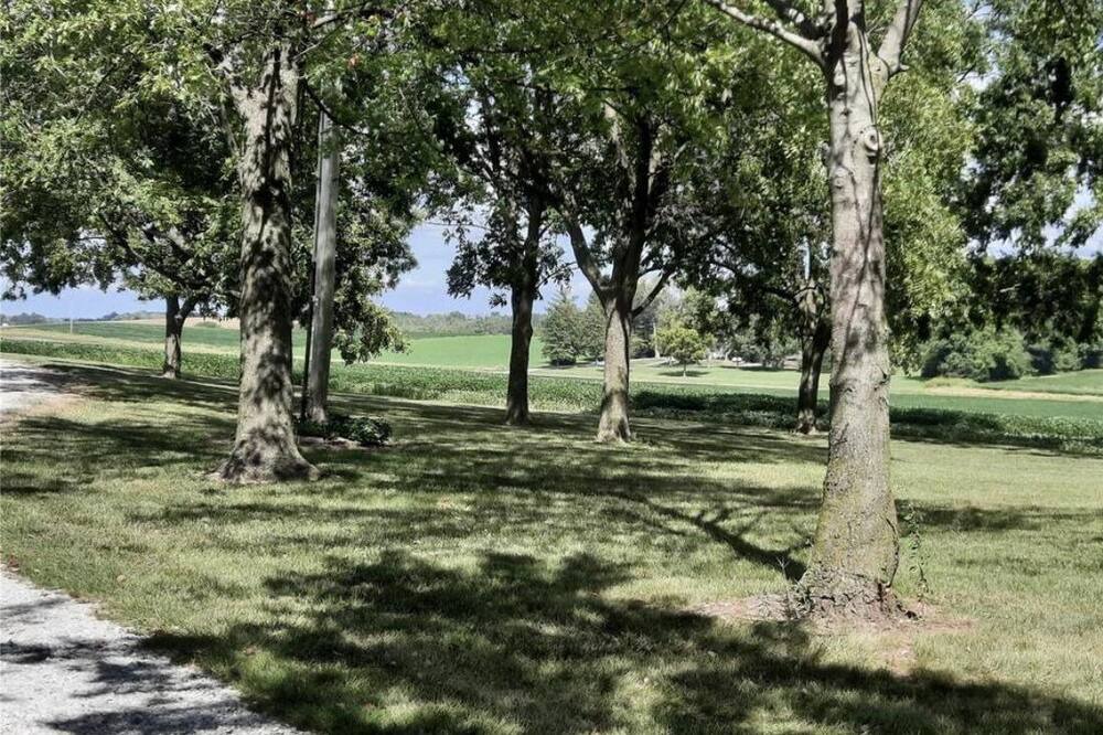Photo of Others in Clinton County