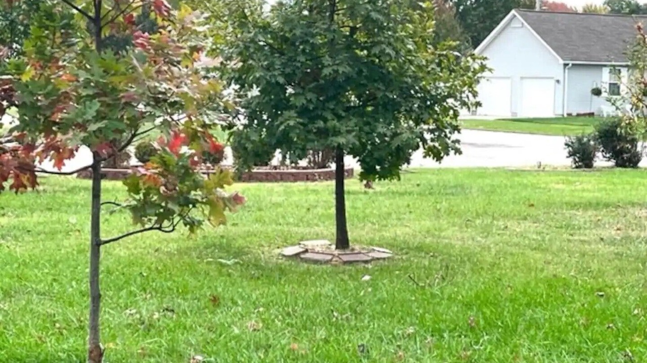 Photo of Outdoor in Granite City