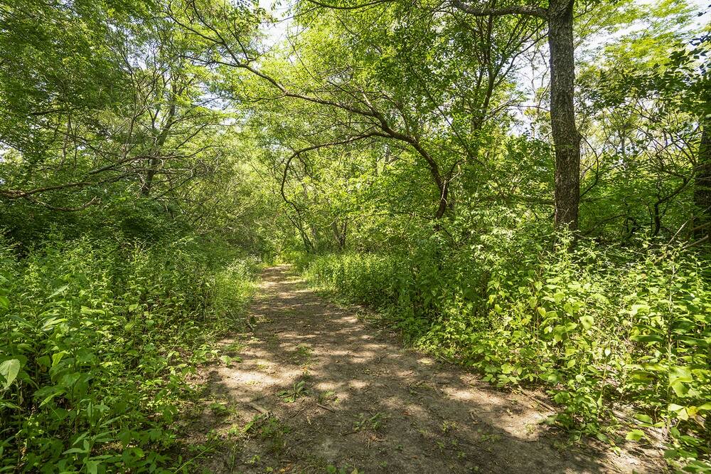Photo of Outdoor in Dixon