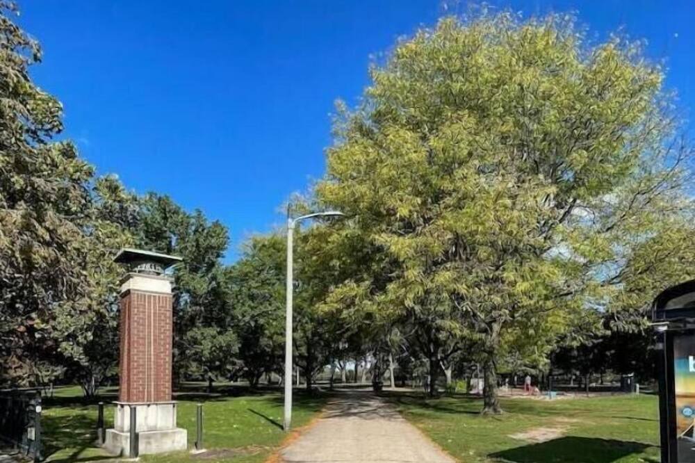 Photo of Outdoor in North Center