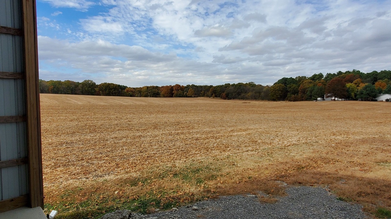 Photo of Others in Carterville