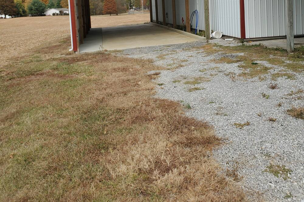 Photo of Outdoor in Carterville