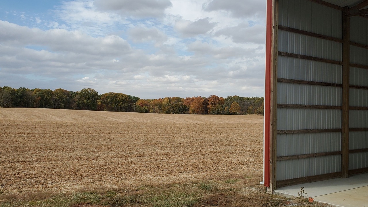 Photo of Outdoor in Carterville