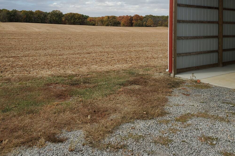 Photo of Outdoor in Carterville