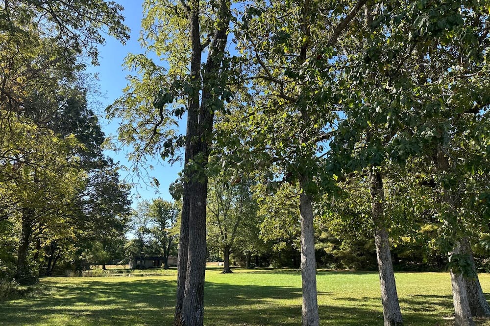Photo of Outdoor in Flora