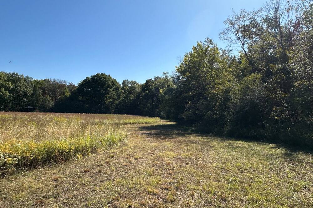 Photo of Outdoor in Flora