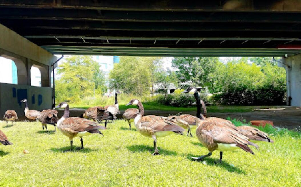 Photo of Others in Moline