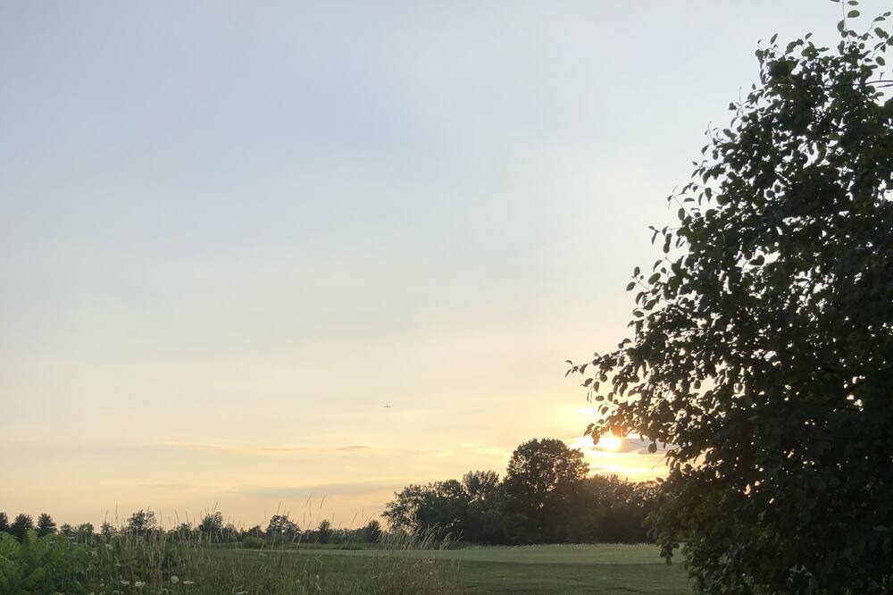 Photo of Outdoor in Forestview