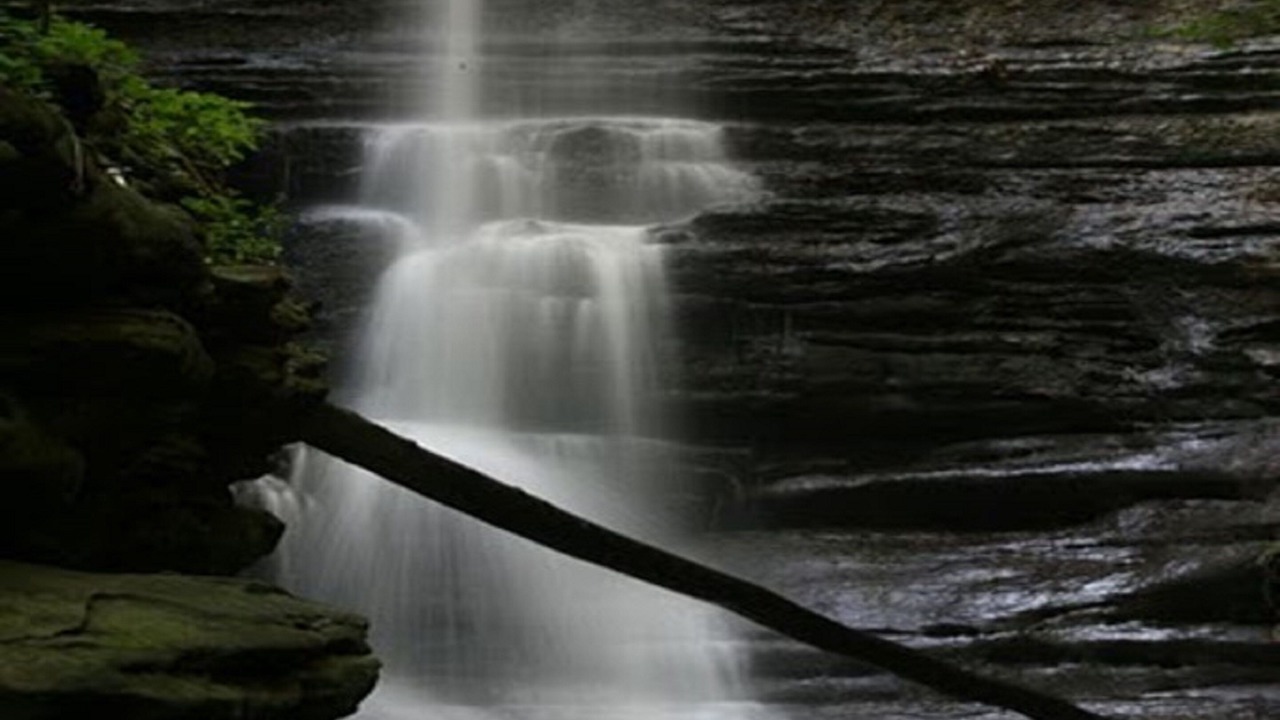 Photo of Others in Ottawa