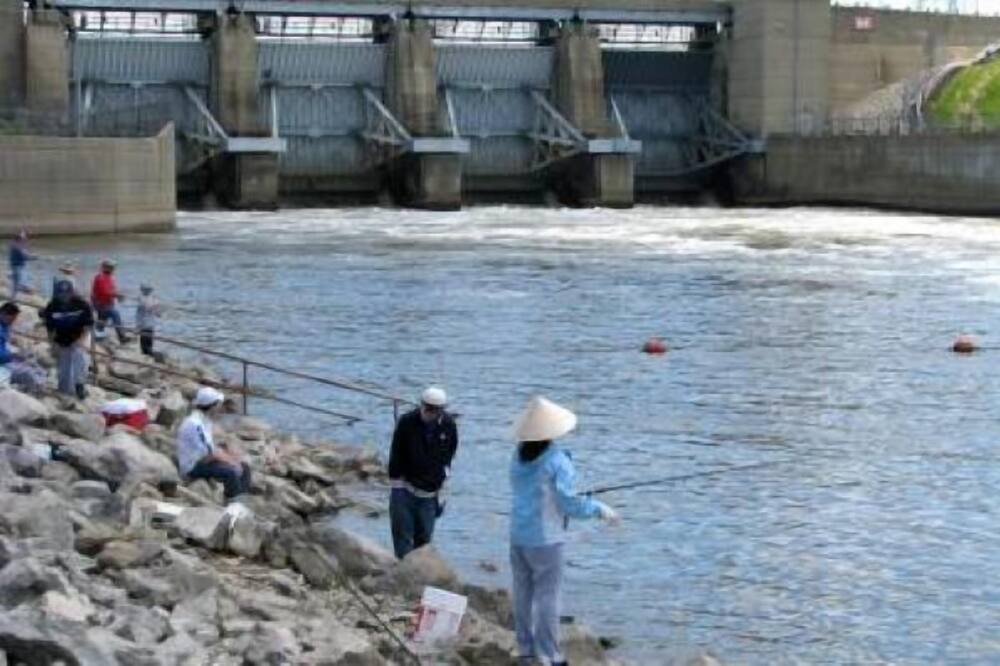 Photo of Others in Carlyle Lake