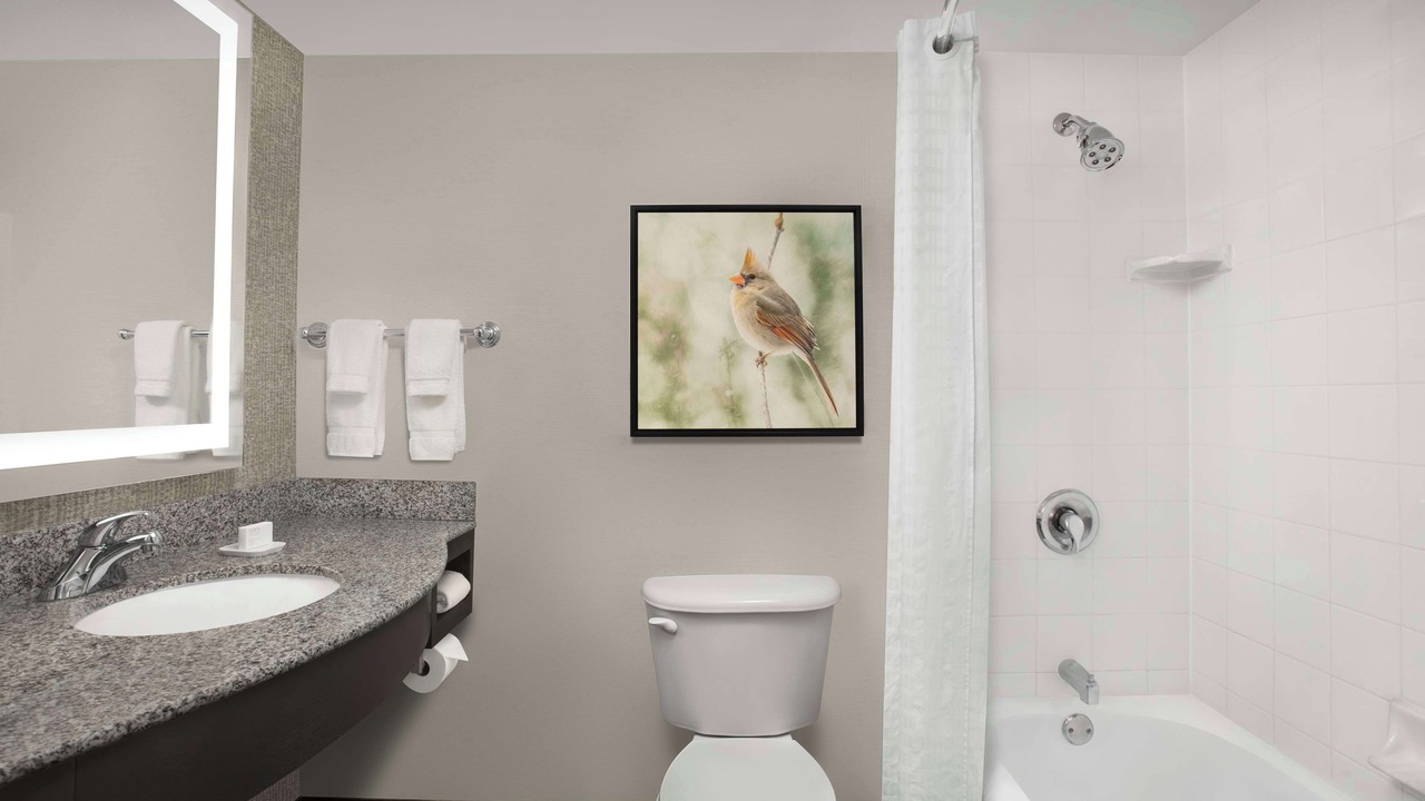 Photo of Bathroom in Hoffman Estates