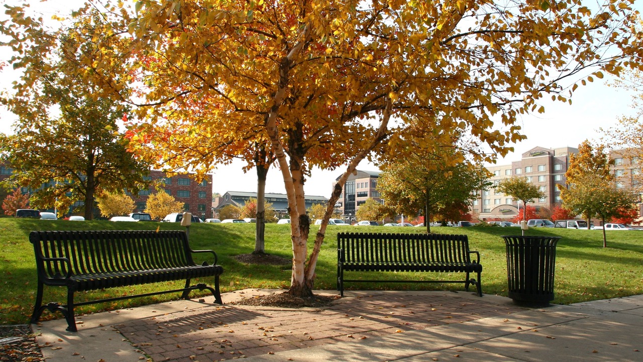 Photo of Outdoor in Moline