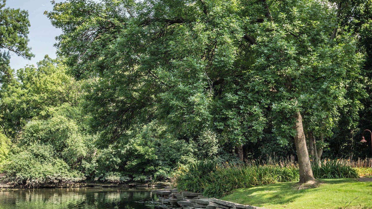 Photo of Others in Oak Brook