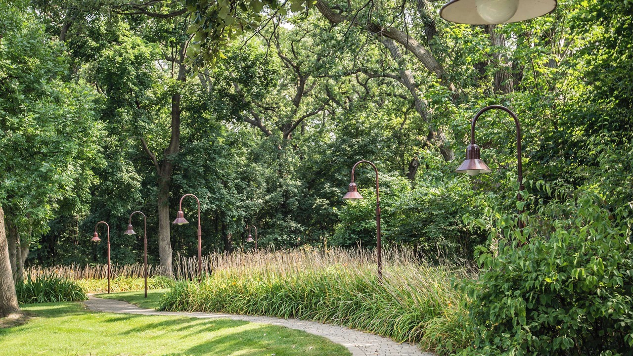 Photo of Others in Oak Brook