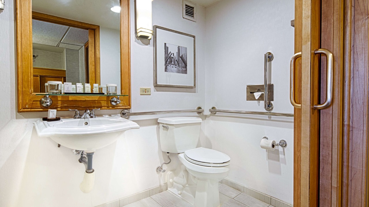 Photo of Bathroom in Rosemont