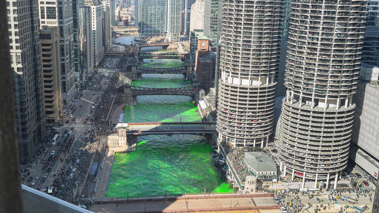 Photo of Others in Downtown Chicago