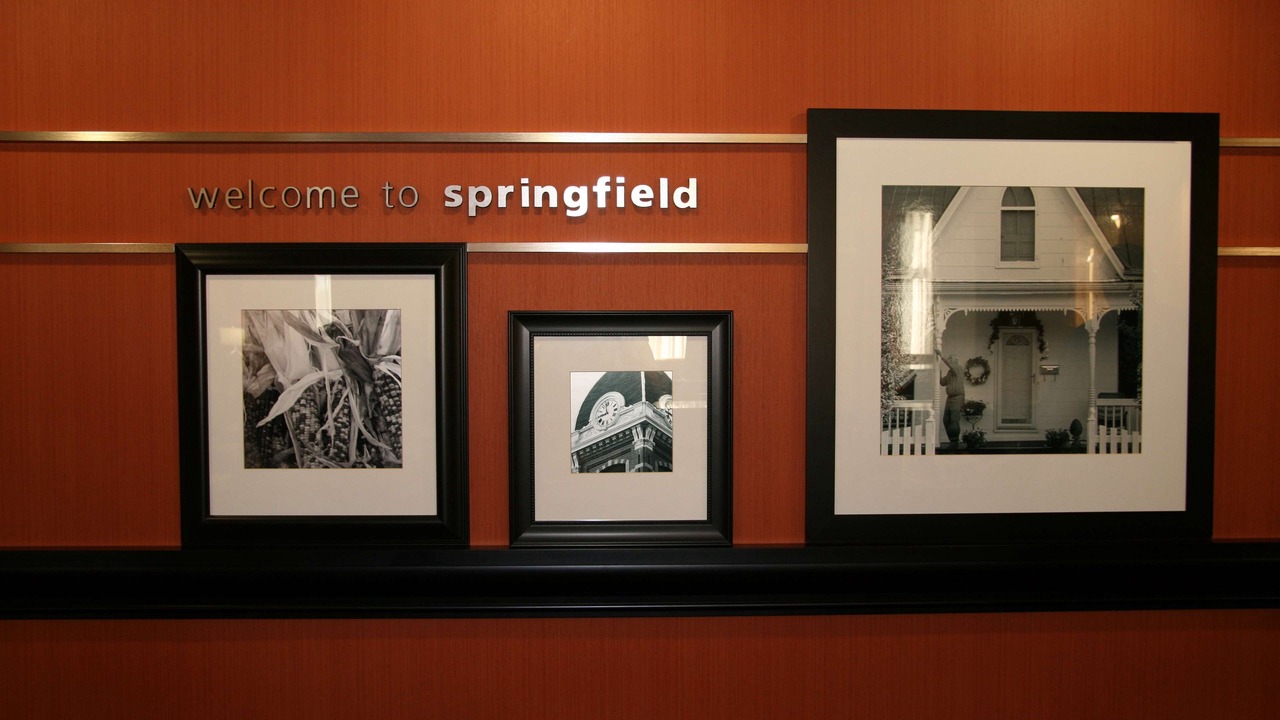 Photo of Others in Springfield