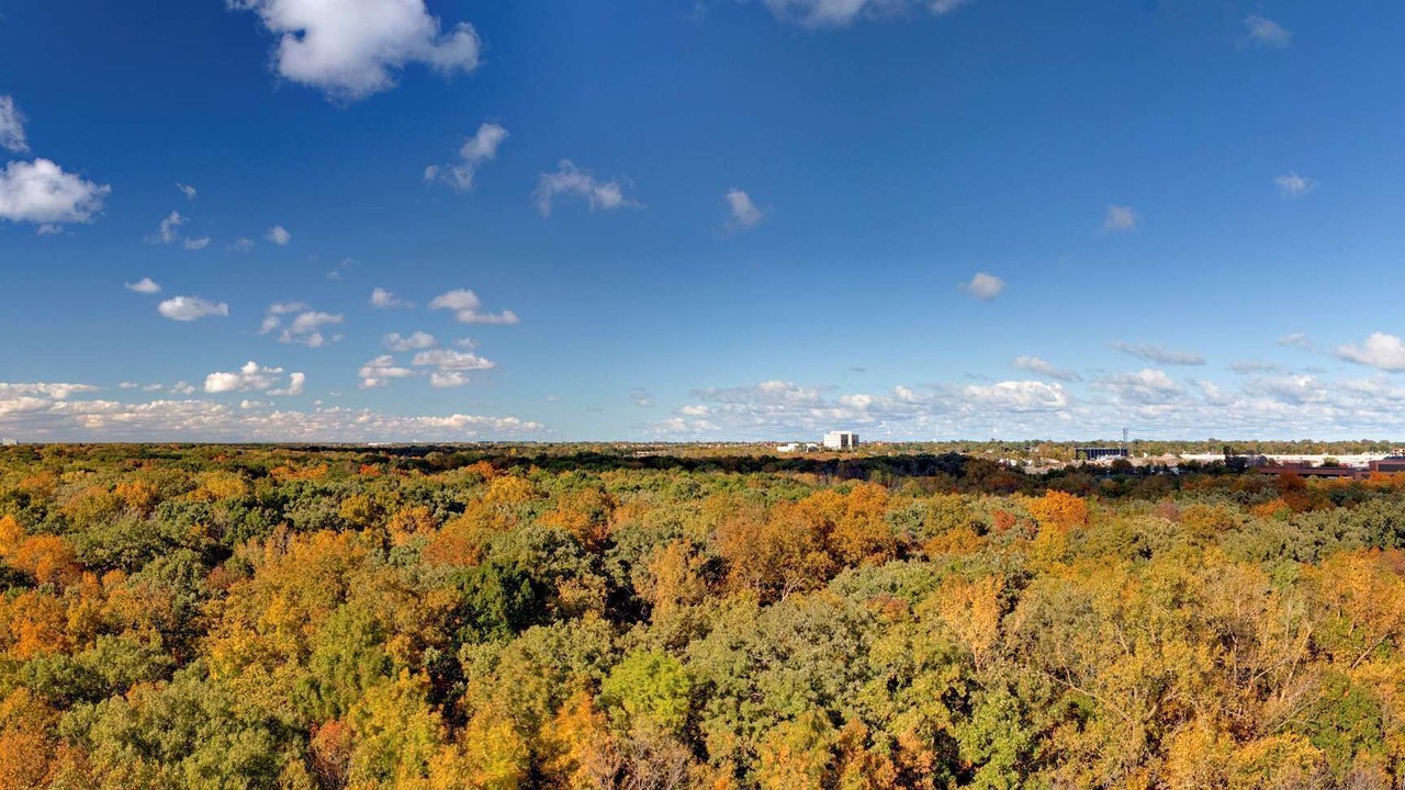 Photo of Outdoor in Northbrook