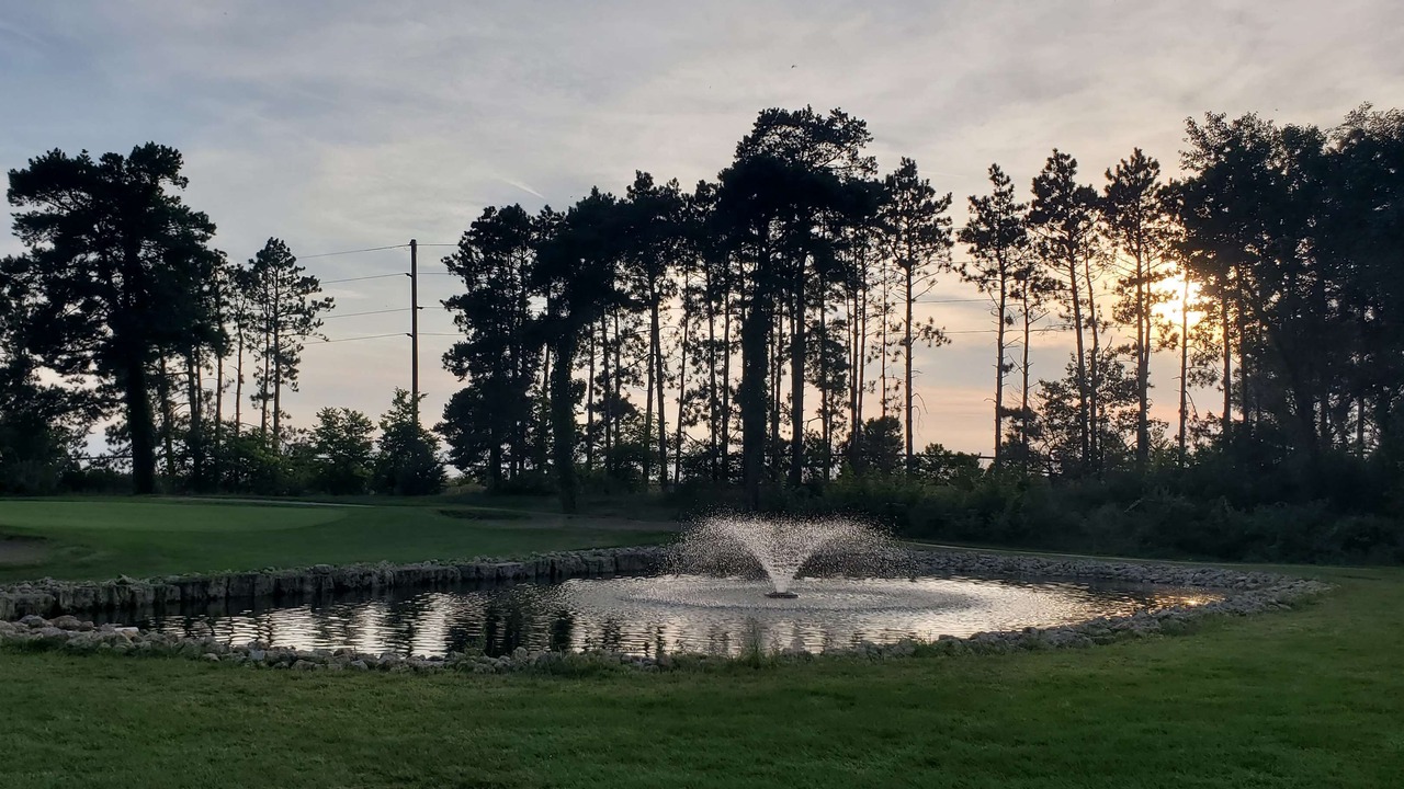 Photo of Outdoor in Thomson