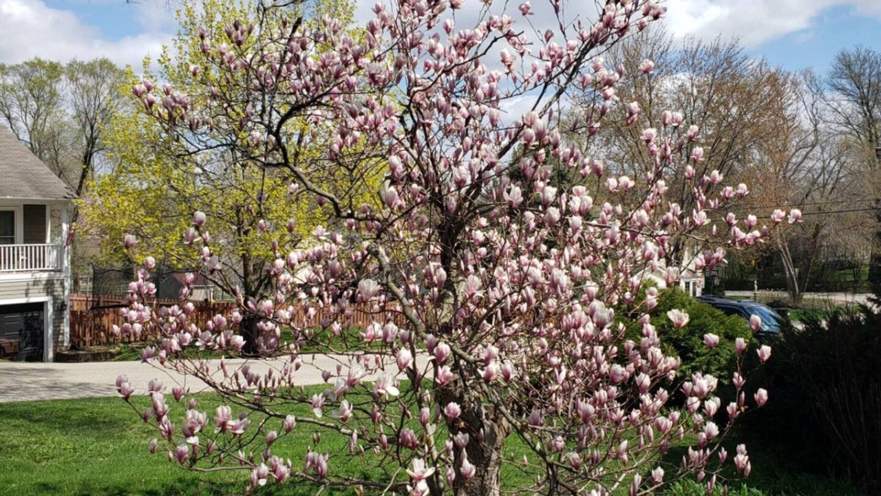 Photo of Outdoor in Fox Lake