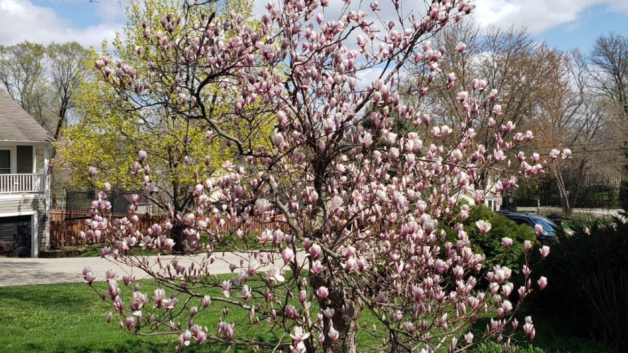 Photo of Outdoor in Fox Lake