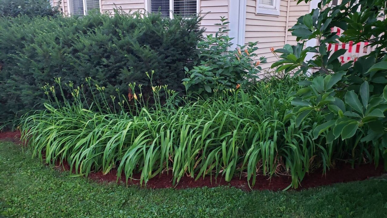 Photo of Outdoor in Oakwood Hills