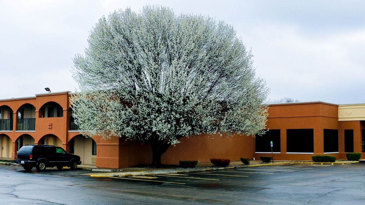Photo of Outdoor in Mattoon
