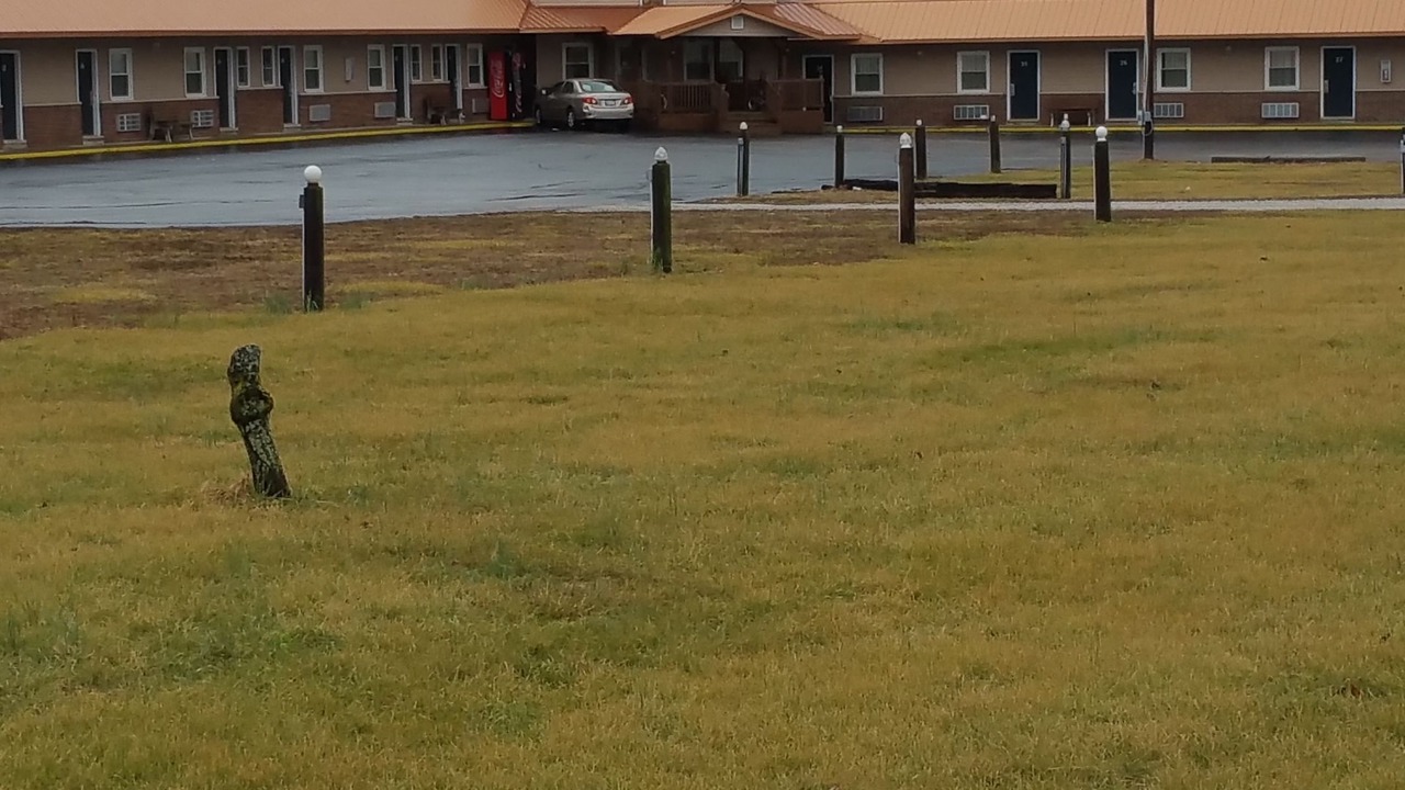 Photo of Others in Shelbyville
